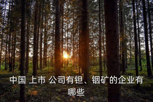 中國(guó) 上市 公司有鉭、銦礦的企業(yè)有哪些