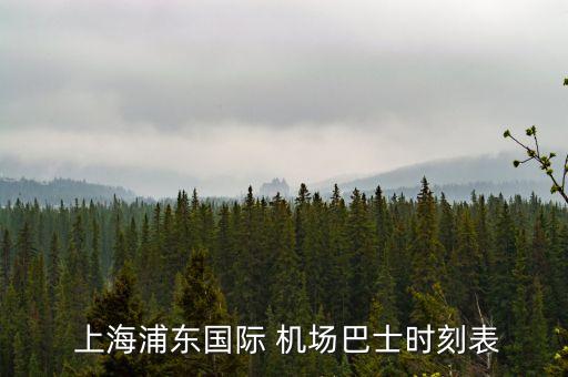  上海浦東國際 機(jī)場(chǎng)巴士時(shí)刻表
