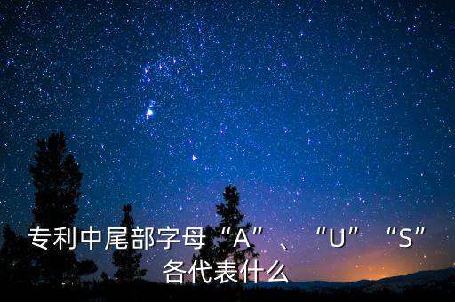 專(zhuān)利中尾部字母“A”、“U”“S”各代表什么