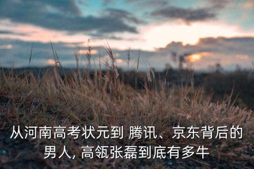 從河南高考狀元到 騰訊、京東背后的男人, 高瓴張磊到底有多牛