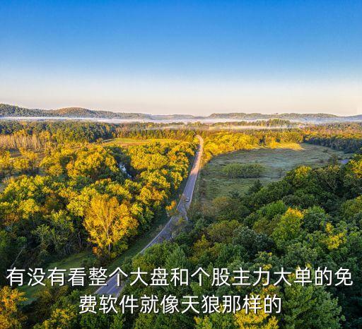 有沒(méi)有看整個(gè)大盤(pán)和個(gè)股主力大單的免費(fèi)軟件就像天狼那樣的