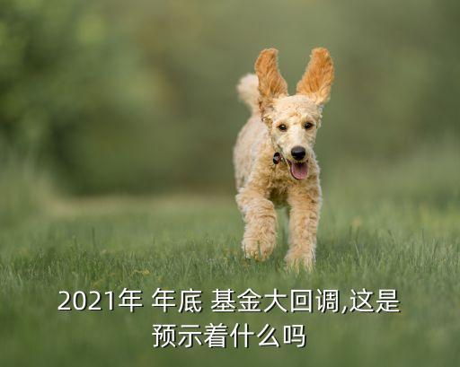 2021年 年底 基金大回調,這是預示著什么嗎