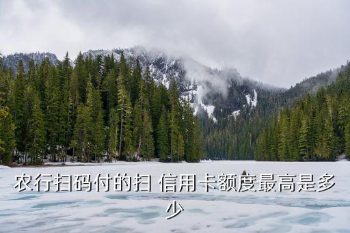 農業(yè)銀行信用卡快捷支付