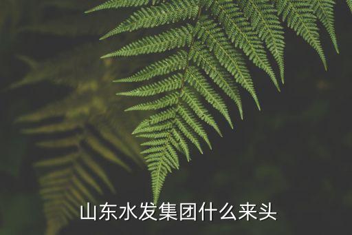山東魯北水務發(fā)展有限公司,魯北超能新材料產業(yè)(山東)有限公司