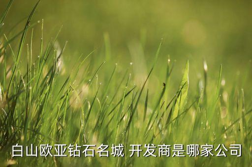 白山歐亞鉆石名城 開(kāi)發(fā)商是哪家公司