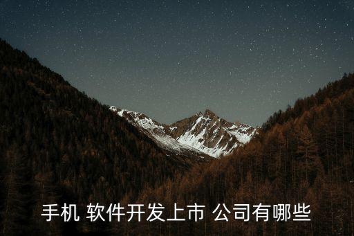 手機(jī) 軟件開(kāi)發(fā)上市 公司有哪些