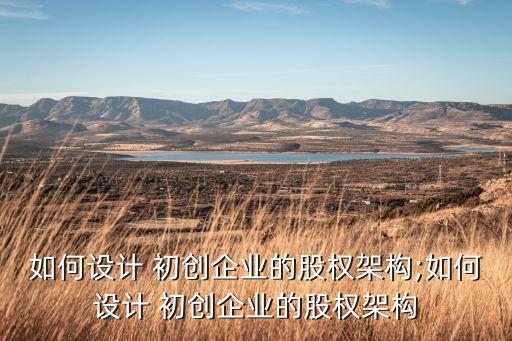 如何設計 初創(chuàng)企業(yè)的股權(quán)架構(gòu);如何設計 初創(chuàng)企業(yè)的股權(quán)架構(gòu)