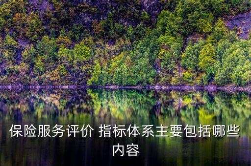 保險服務評價 指標體系主要包括哪些內容