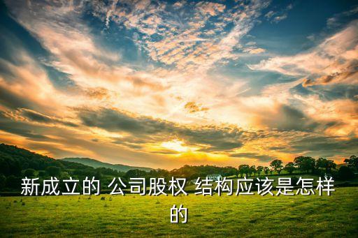 初創(chuàng)公司結構,初創(chuàng)型公司能不能去