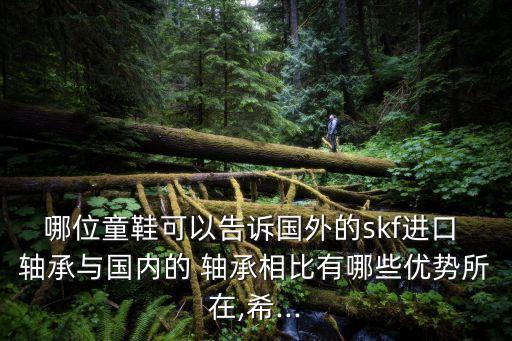 哪位童鞋可以告訴國外的skf進口 軸承與國內(nèi)的 軸承相比有哪些優(yōu)勢所在,希...