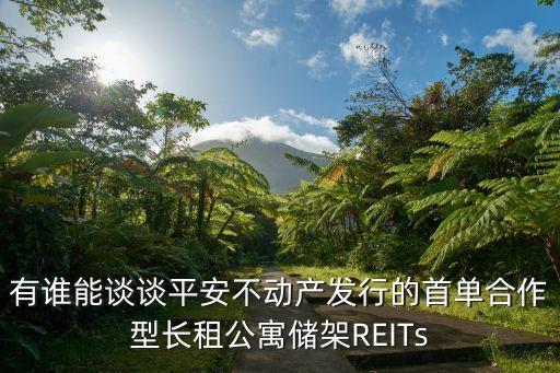 有誰能談?wù)勂桨膊粍?dòng)產(chǎn)發(fā)行的首單合作型長租公寓儲架REITs
