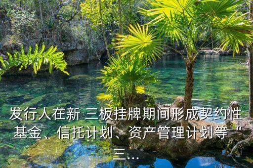 發(fā)行人在新 三板掛牌期間形成契約性 基金、信托計(jì)劃、資產(chǎn)管理計(jì)劃等“三...