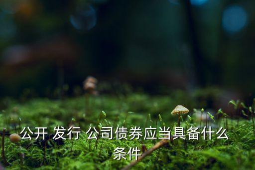 公開(kāi) 發(fā)行 公司債券應(yīng)當(dāng)具備什么 條件