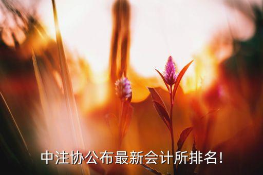 國富浩華會計(jì)師事務(wù)所上海分所,香港國富浩華會計(jì)師事務(wù)所