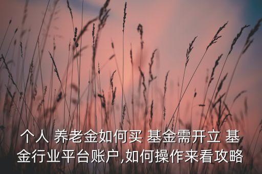 個(gè)人 養(yǎng)老金如何買 基金需開(kāi)立 基金行業(yè)平臺(tái)賬戶,如何操作來(lái)看攻略