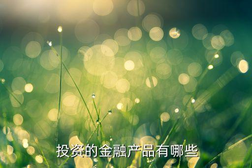  投資的金融產品有哪些