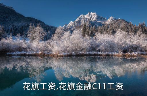 上?；ㄆ旃べY,花旗金融C11工資