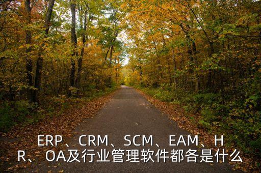 ERP、CRM、SCM、EAM、HR、 OA及行業(yè)管理軟件都各是什么