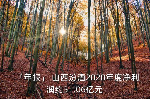 山西汾酒集團的組織結(jié)構(gòu)