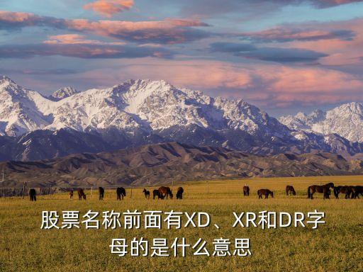  股票名稱前面有XD、XR和DR字母的是什么意思