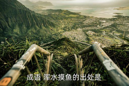 中國有渾水,中國渾水報(bào)告的主播簡(jiǎn)介