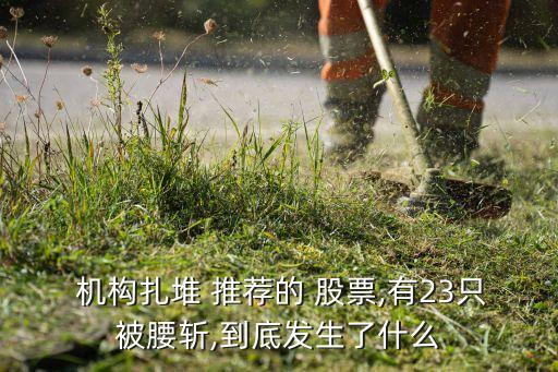  機構(gòu)扎堆 推薦的 股票,有23只被腰斬,到底發(fā)生了什么