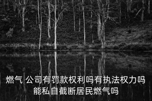 燃?xì)?公司有罰款權(quán)利嗎有執(zhí)法權(quán)力嗎能私自截斷居民燃?xì)鈫? class=