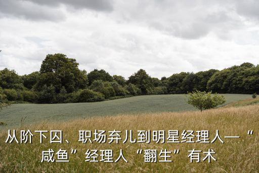 從階下囚、職場棄兒到明星經(jīng)理人—“咸魚”經(jīng)理人“翻生”有術(shù)