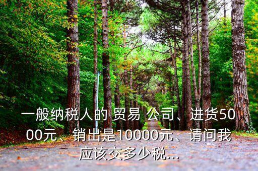一般納稅人的 貿(mào)易 公司、進(jìn)貨5000元、銷出是10000元、請問我應(yīng)該交多少稅...