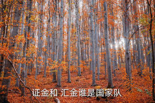 證金和 匯金誰是國(guó)家隊(duì)