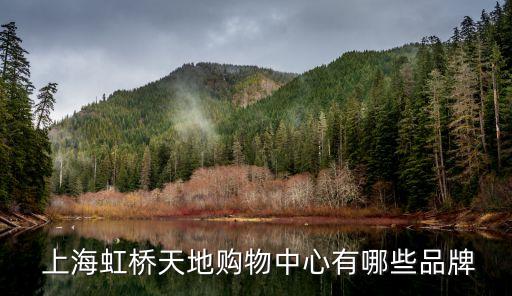 上海大龍廣告,大龍廣告有限責任公司