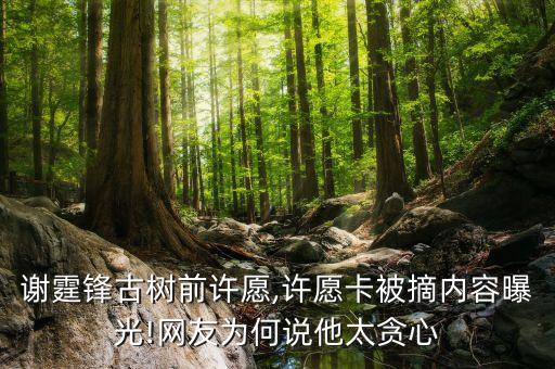 謝霆鋒古樹前許愿,許愿卡被摘內容曝光!網(wǎng)友為何說他太貪心