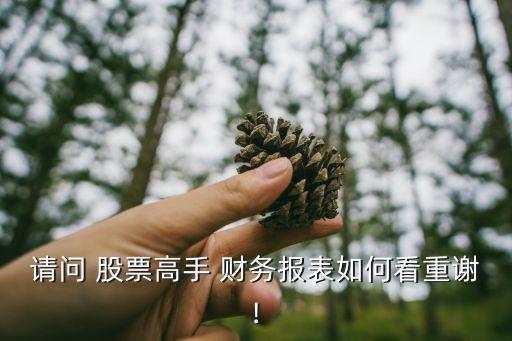 請問 股票高手 財(cái)務(wù)報(bào)表如何看重謝!
