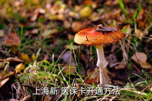  上海新 醫(yī)?？ㄩ_通方法