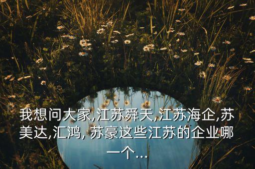 我想問大家,江蘇舜天,江蘇海企,蘇美達(dá),匯鴻, 蘇豪這些江蘇的企業(yè)哪一個...