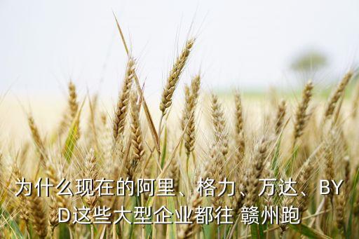 為什么現(xiàn)在的阿里、格力、萬達(dá)、BYD這些大型企業(yè)都往 贛州跑