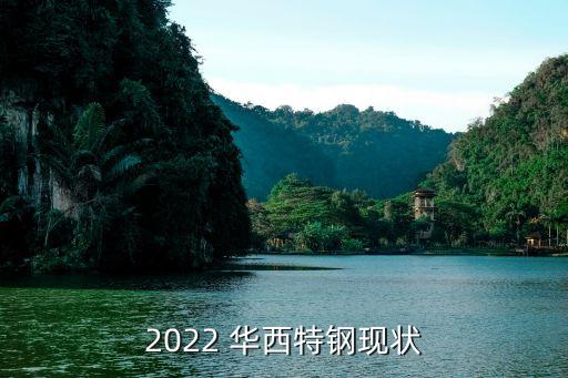 2022 華西特鋼現狀