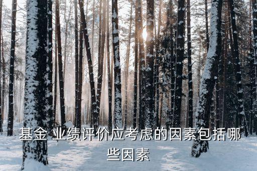  基金 業(yè)績?cè)u(píng)價(jià)應(yīng)考慮的因素包括哪些因素