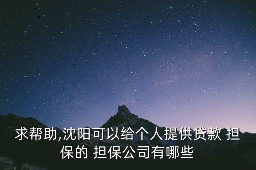 求幫助,沈陽可以給個(gè)人提供貸款 擔(dān)保的 擔(dān)保公司有哪些