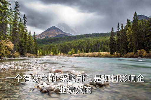 一個(gè)有效率的 采購部門是如何影響企業(yè)績(jī)效的