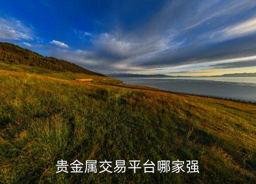 貴金屬交易平臺哪家強(qiáng)