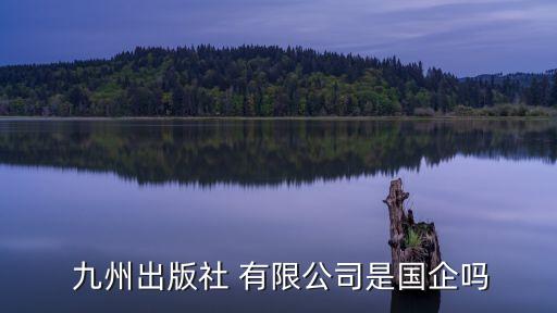 中山九州實業(yè)有限公司,華南九州實業(yè)深圳集團(tuán)有限公司怎么樣
