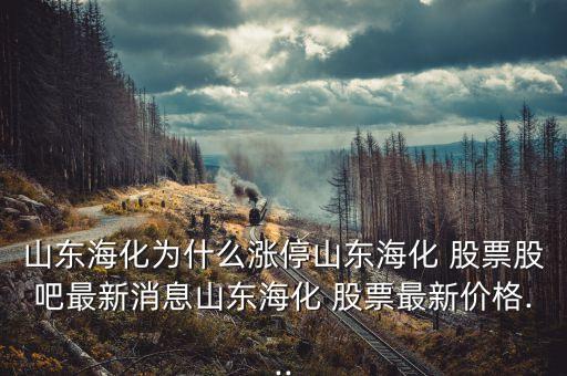 豐?？萍脊善惫蓛r
