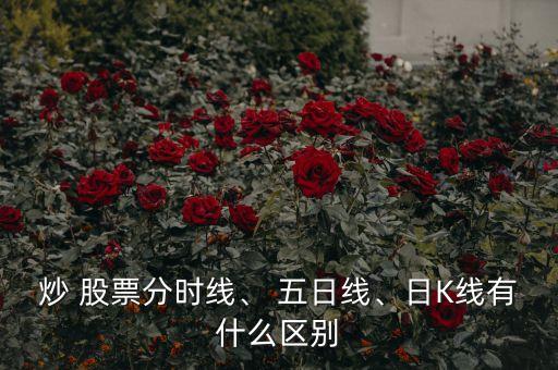 炒 股票分時(shí)線、 五日線、日K線有什么區(qū)別