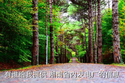 有誰(shuí)給我提供 湖南省內(nèi)發(fā)電廠(chǎng)的信息