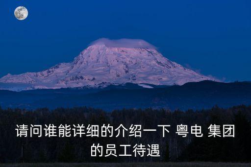 請問誰能詳細(xì)的介紹一下 粵電 集團的員工待遇