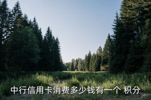 中行信用卡消費(fèi)多少錢(qián)有一個(gè) 積分