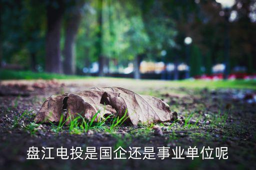 盤江電投是國(guó)企還是事業(yè)單位呢