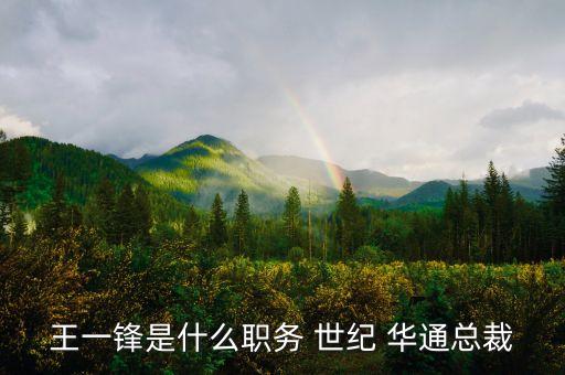 王一鋒是什么職務(wù) 世紀 華通總裁