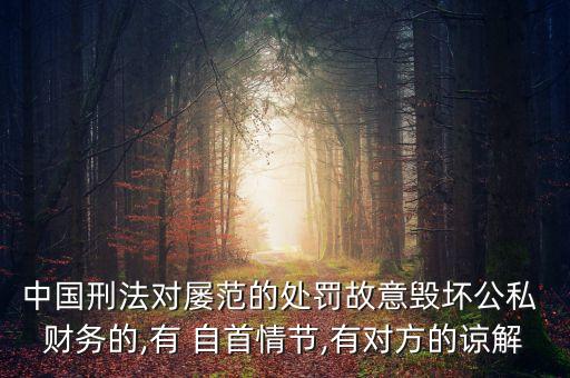 中國刑法對(duì)屢范的處罰故意毀壞公私 財(cái)務(wù)的,有 自首情節(jié),有對(duì)方的諒解